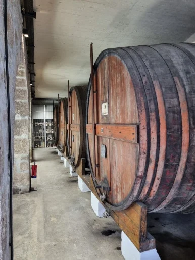 %EC%99%801.jpg?type=w386