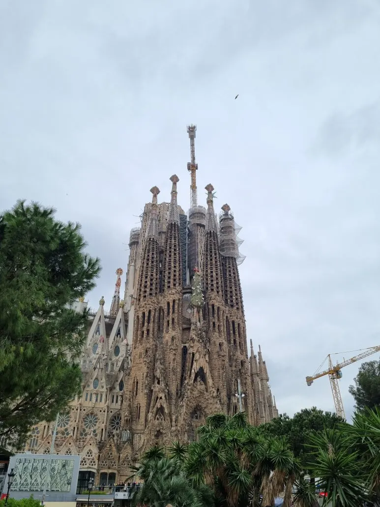 20220319_130737.jpg?type=w773