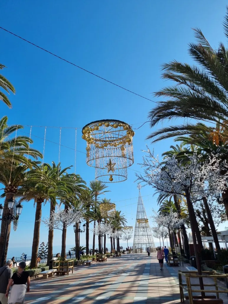 20221224_135725.jpg?type=w773