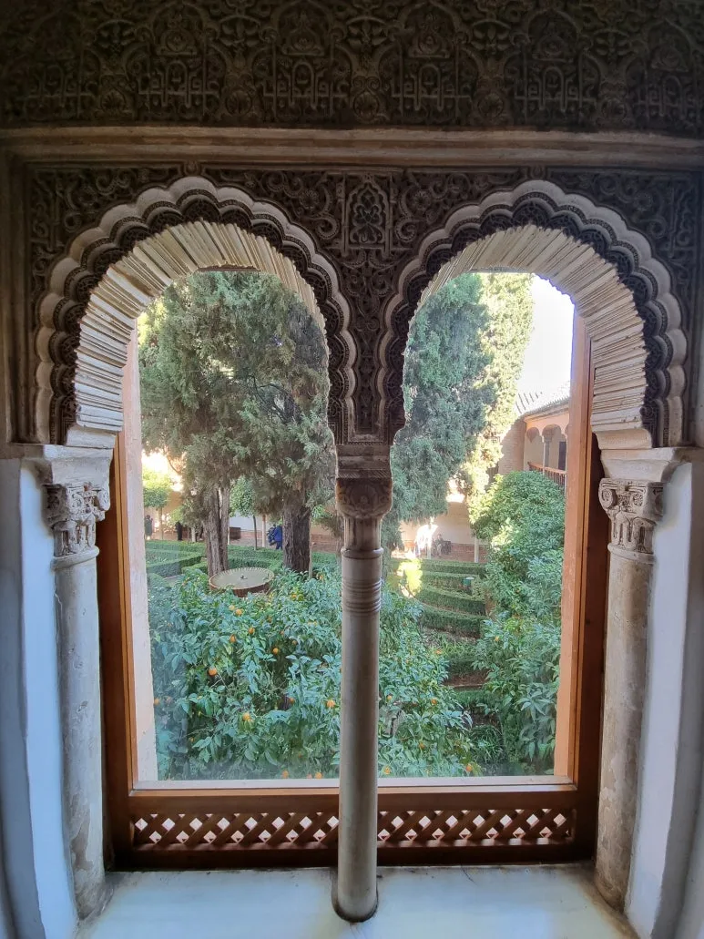 20221223_130222.jpg?type=w773