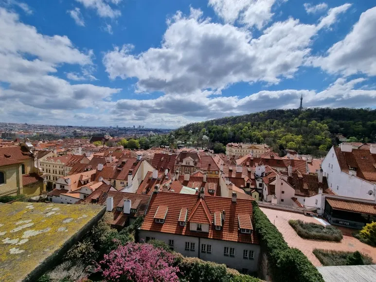 20220416_132029.jpg?type=w773