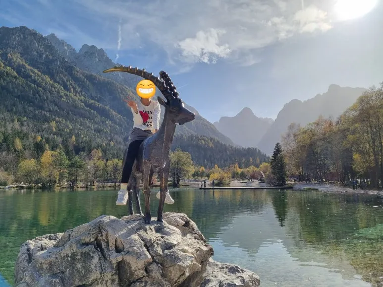 SE-274e3d1c-baf0-4186-8f99-9674d3a43b6d.jpg?type=w773