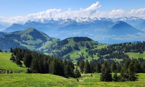 ?src=%22https%3A%2F%2Flh5.googleusercontent.com%2Fp%2FAF1QipMO4mz-ZKCAuLa1IeEdUvn21mmVB34N1ocF9Qbg%3Dw900-h900-k-no-p%22&type=ff500_300