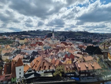 20220417_113159.jpg?type=w386