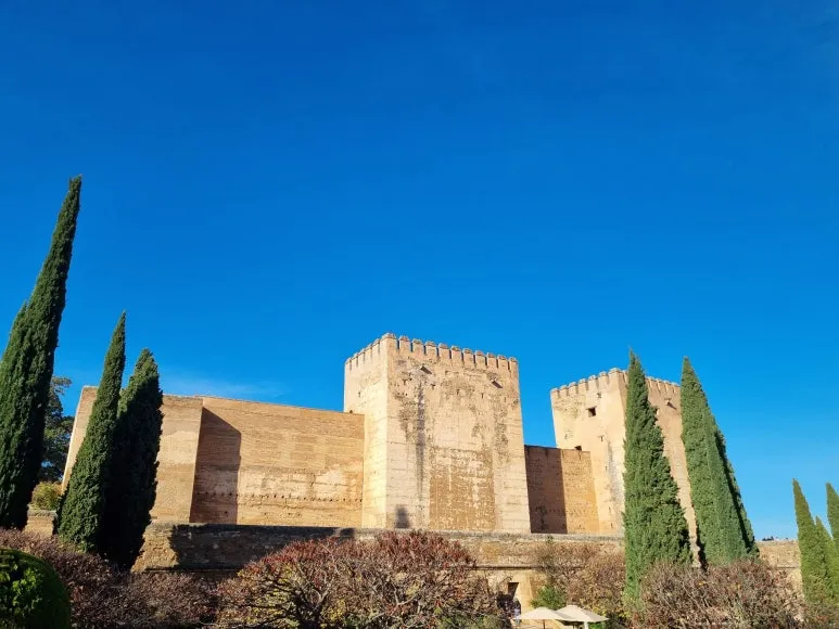 %EC%95%8C%EC%B9%B4%EC%82%AC%EB%B0%94.jpg?type=w773