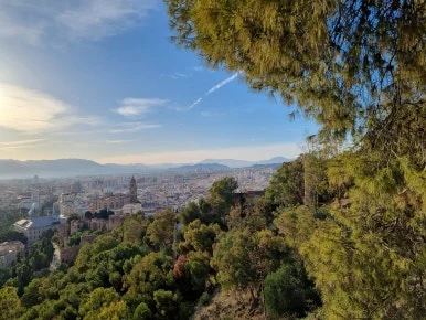 20221225_164531.jpg?type=w386