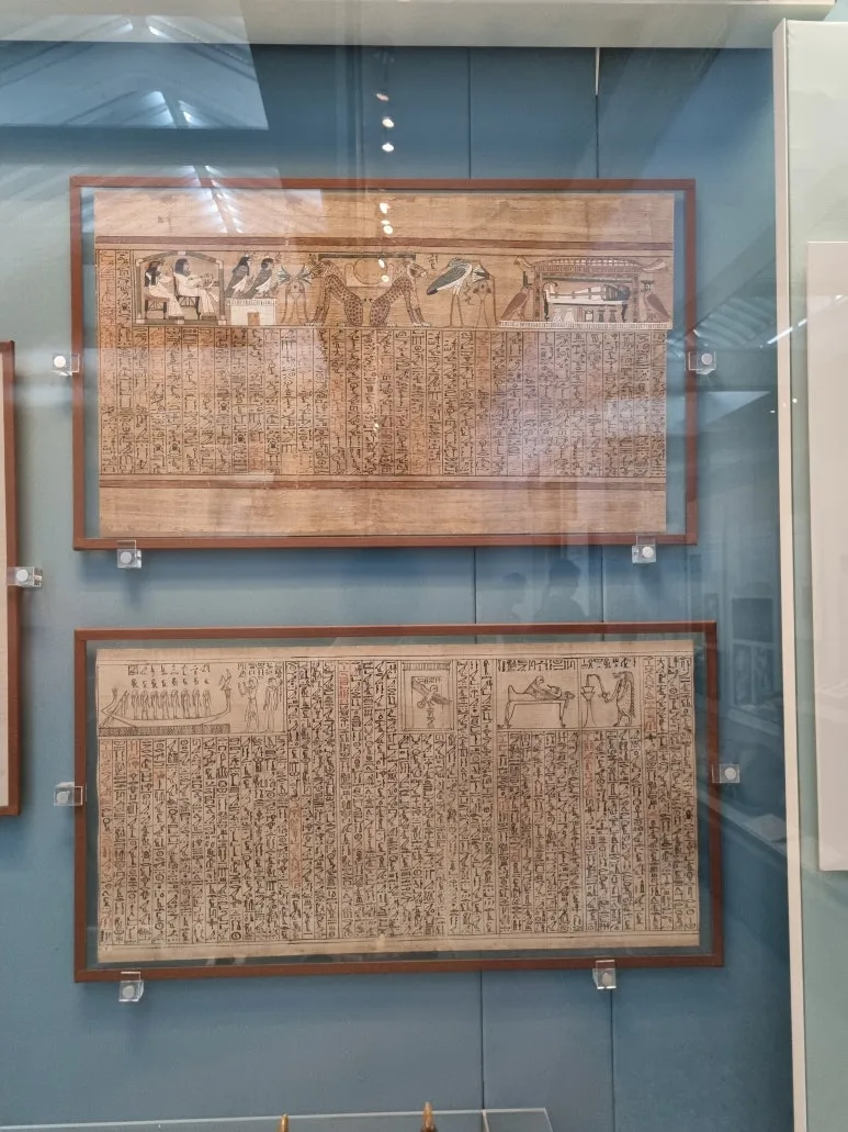 20220509_162303.jpg?type=w773