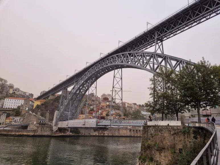 %EB%8F%99%EB%A3%A8%EC%9D%B4%EC%8A%A413.jpg?type=w773