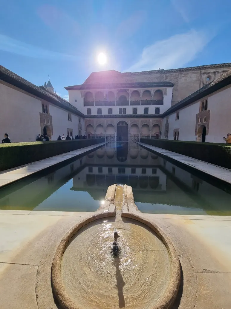 %EC%95%84%EB%9D%BC%EC%95%BC%EB%84%A4%EC%8A%A4_%EC%A0%95%EC%9B%90.jpg?type=w773