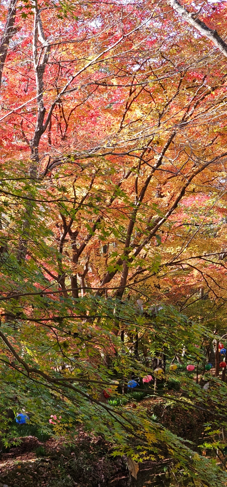 900%EF%BC%BF20241114%EF%BC%BF104309.jpg?type=w966