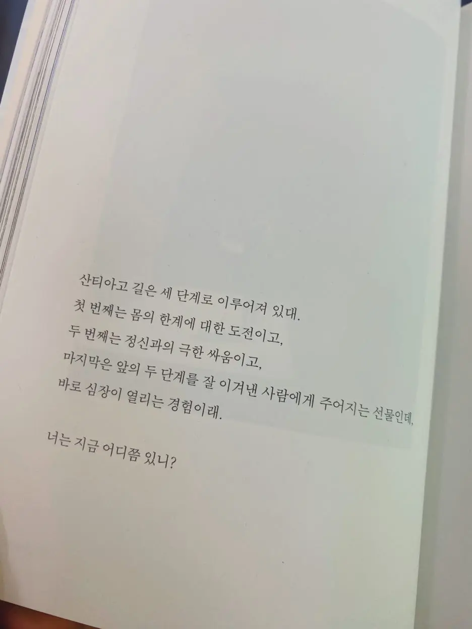 SE-08dd3f42-3e5f-42b7-9d9d-c87bf972080c.jpg?type=w1