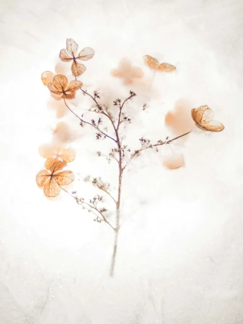 SE-f4a84f1e-308c-43f0-9a5f-6ada6da37d29.jpg?type=w773