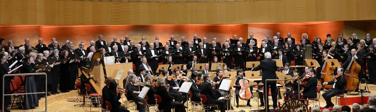 13854358_XL.webp?1759163341