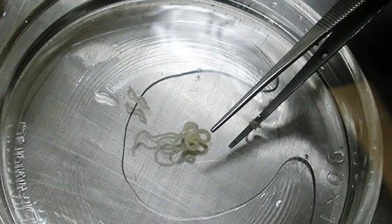 img.jpg?credential=yqXZFxpELC7KVnFOS48ylbz2pIh7yKj8&expires=1764514799&allow_ip=&allow_referer=&signature=Ga1ciiZ9gmtXWXIOr%2FZZV0nMhyI%3D