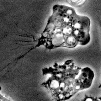 img.jpg?credential=yqXZFxpELC7KVnFOS48ylbz2pIh7yKj8&expires=1764514799&allow_ip=&allow_referer=&signature=qQXIqDkzlBEH5sXwgdA6gme7enI%3D