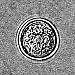 img.jpg?credential=yqXZFxpELC7KVnFOS48ylbz2pIh7yKj8&expires=1764514799&allow_ip=&allow_referer=&signature=IAAbMWohty1Gr8S2tHWUZYEdqLY%3D