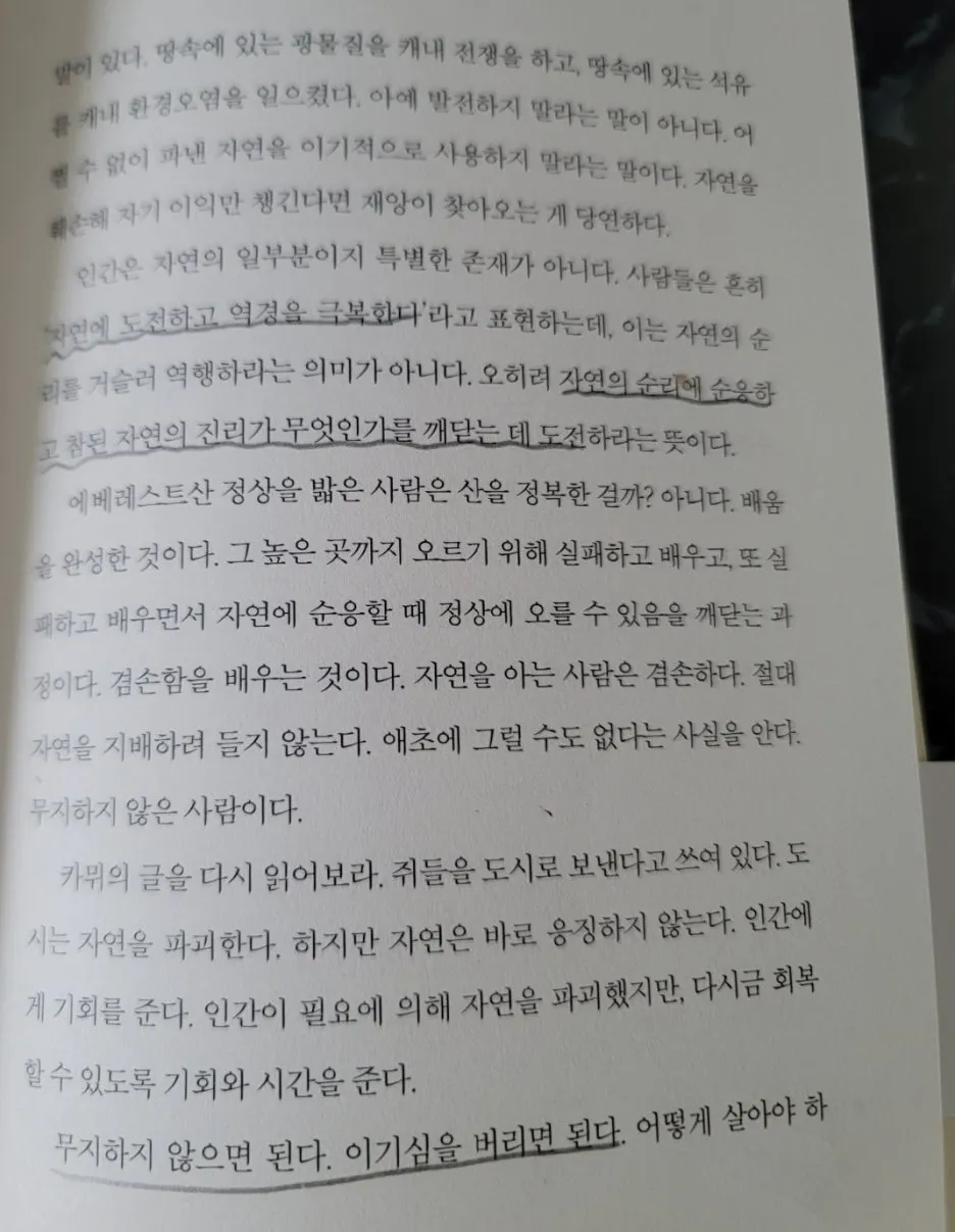 KakaoTalk_20250917_094758145_01.jpg?type=w1