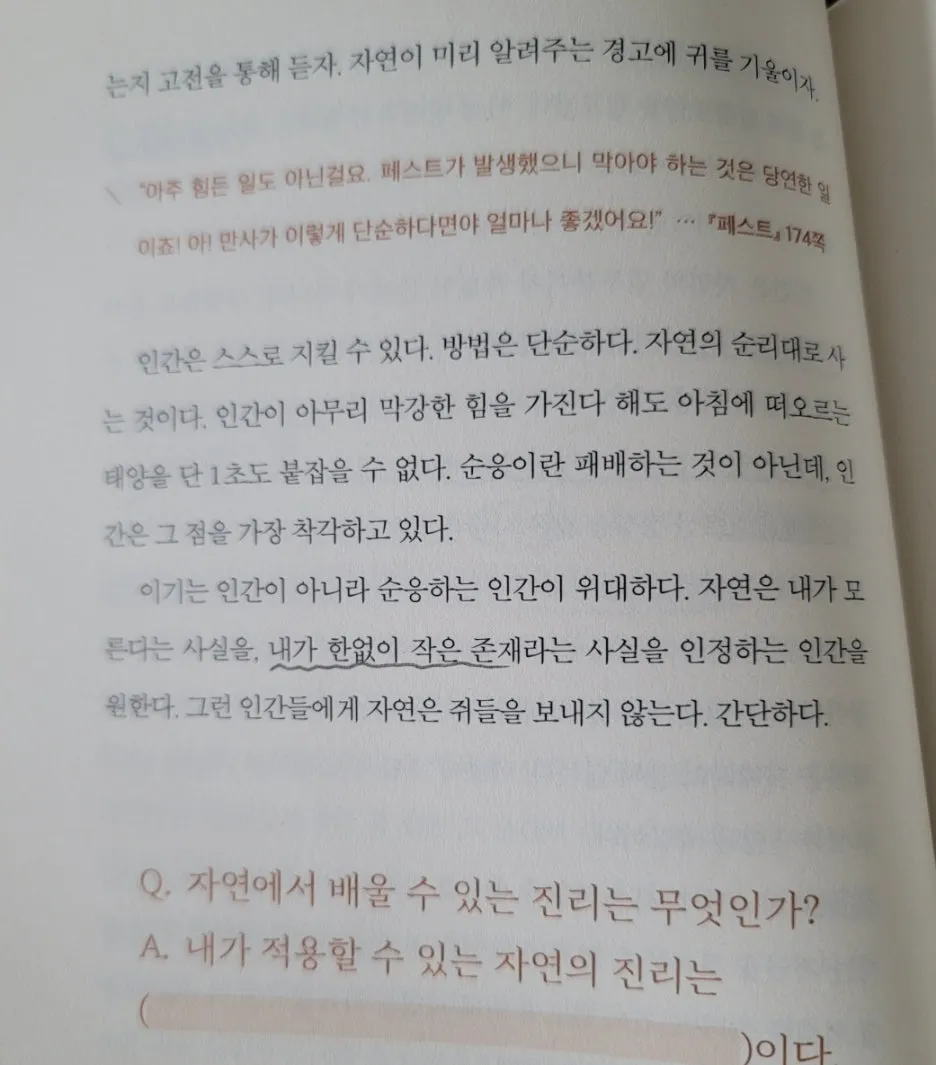 SE-c1ed531c-8c86-4f71-833c-237093fe5034.jpg?type=w1