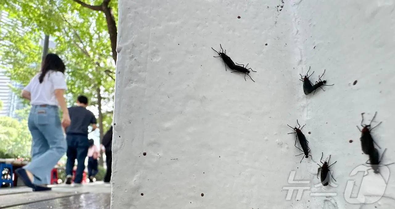 img.jpg?credential=yqXZFxpELC7KVnFOS48ylbz2pIh7yKj8&expires=1753973999&allow_ip=&allow_referer=&signature=hKHdttMvV1YszBWMQ7LCMOCQmHU%3D