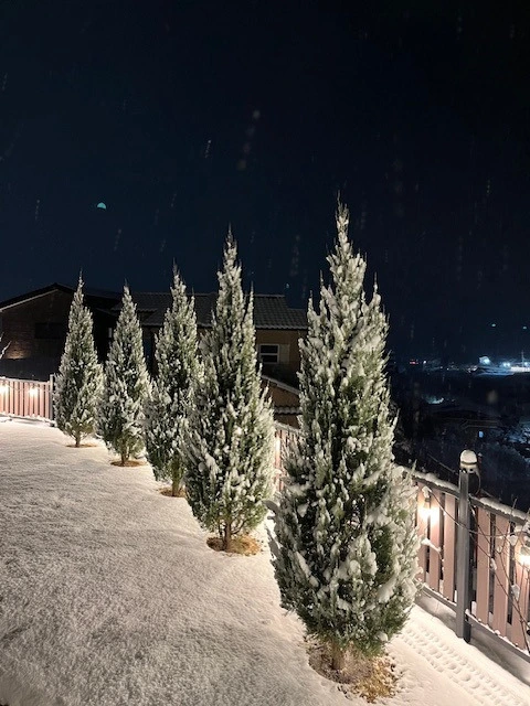 60ES-2L2O-UdQJsIdI2bxLU1_zI