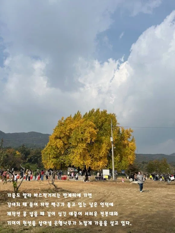 zIKxTqBv01hL1UJfjdb8R19JAZc