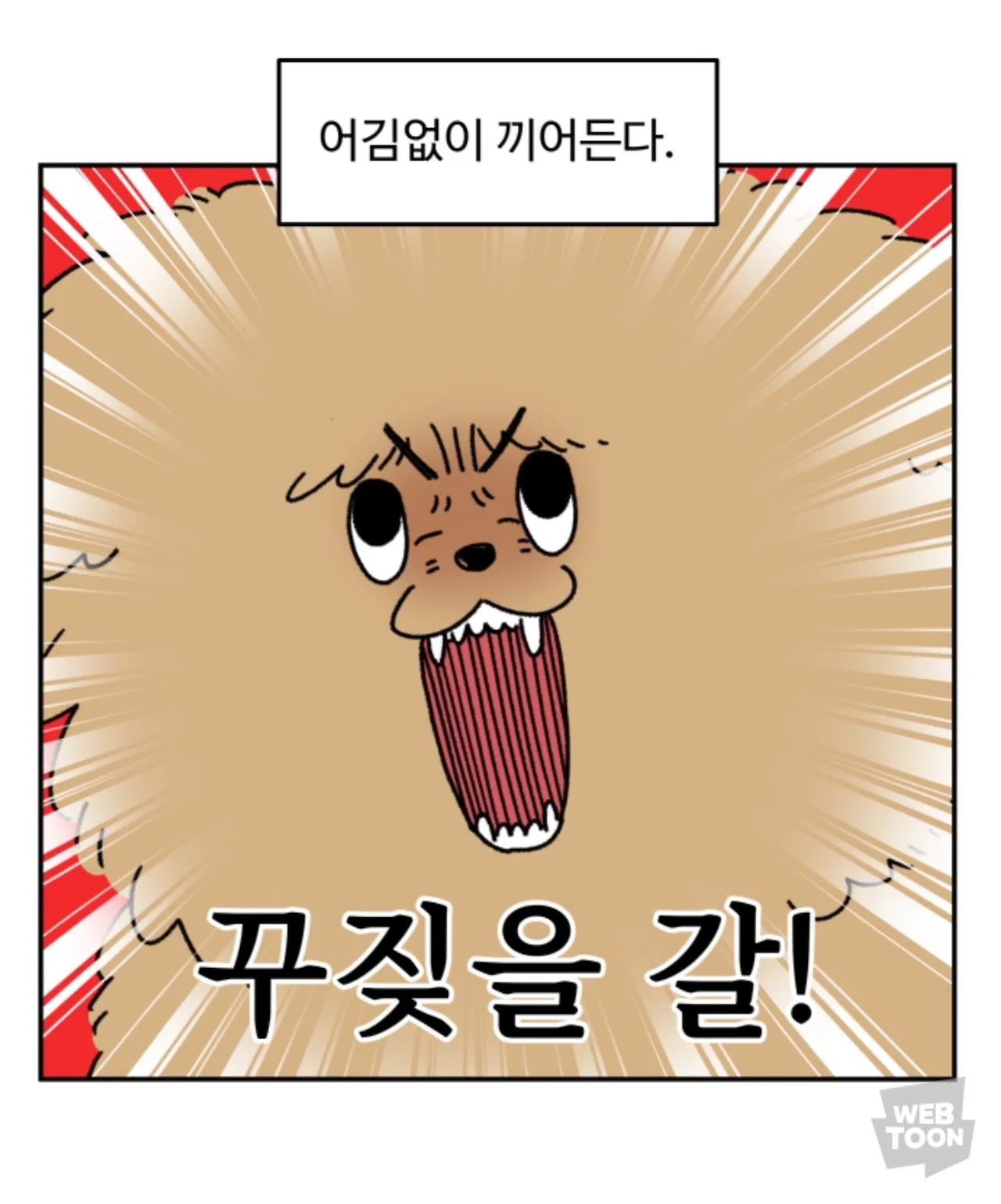 F4HSuaibIAAz2sz.jpg:large