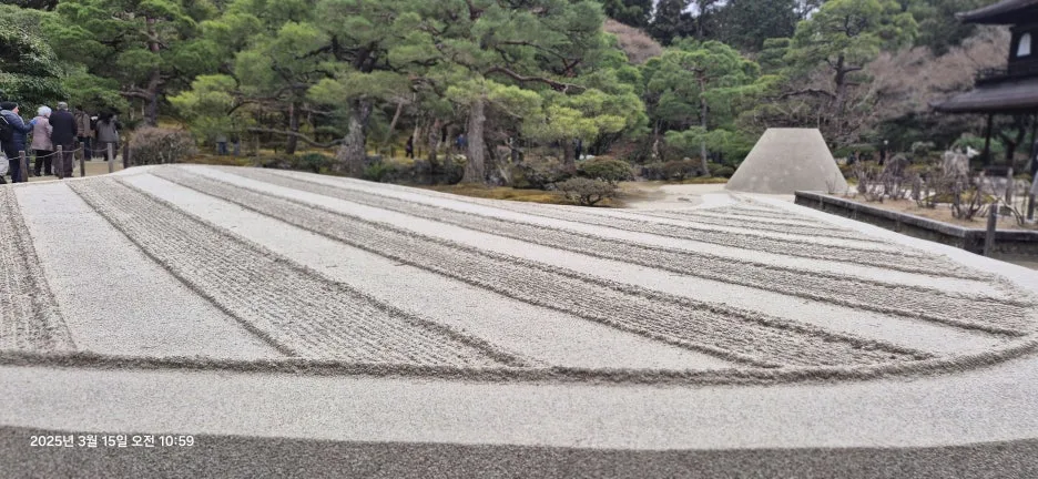 20250315_105933.jpg?type=w1