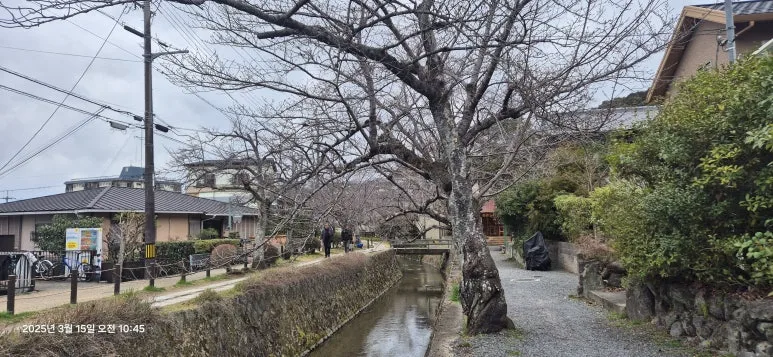 20250315_104515.jpg?type=w773