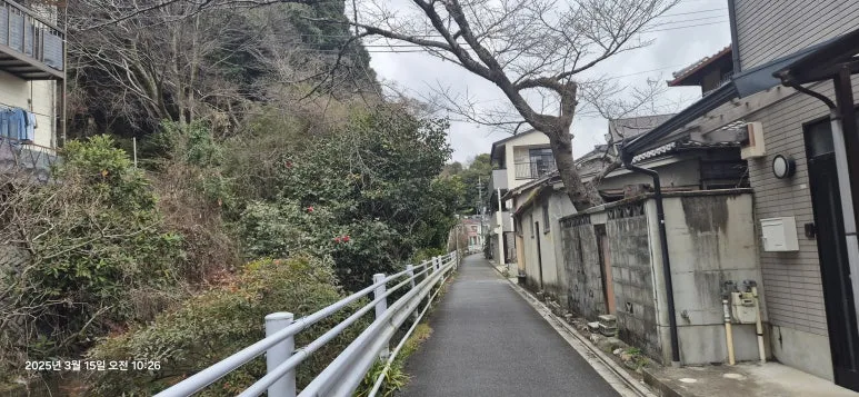 20250315_102636.jpg?type=w773