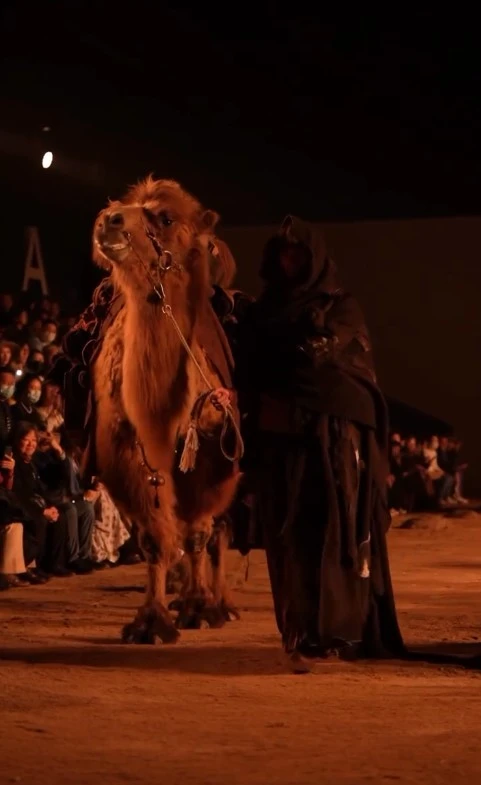 Screenshot 2025-04-03 at 14.56.43.JPG