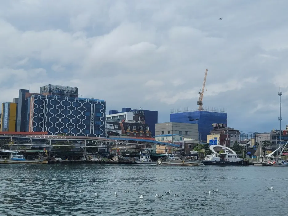 KakaoTalk_20251005_213432395_05.jpg?type=w1