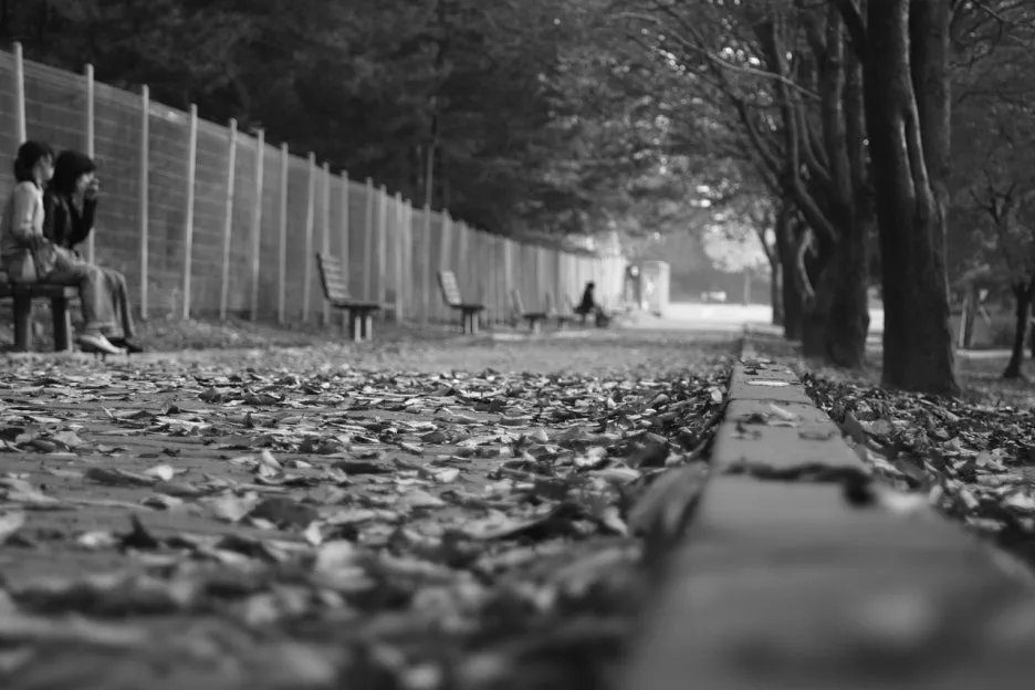 autumn-2393363_1280.jpg?type=w1