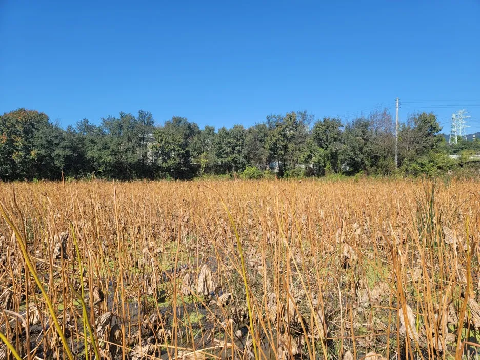 KakaoTalk_20251029_163900781.jpg?type=w1