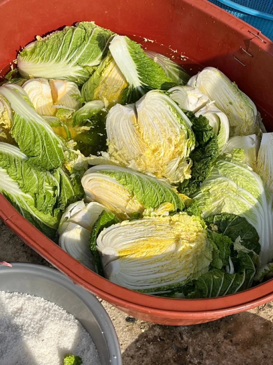 9_chhUd018svcd9hupk3vk4yn_8ive74.jpg?type=w1