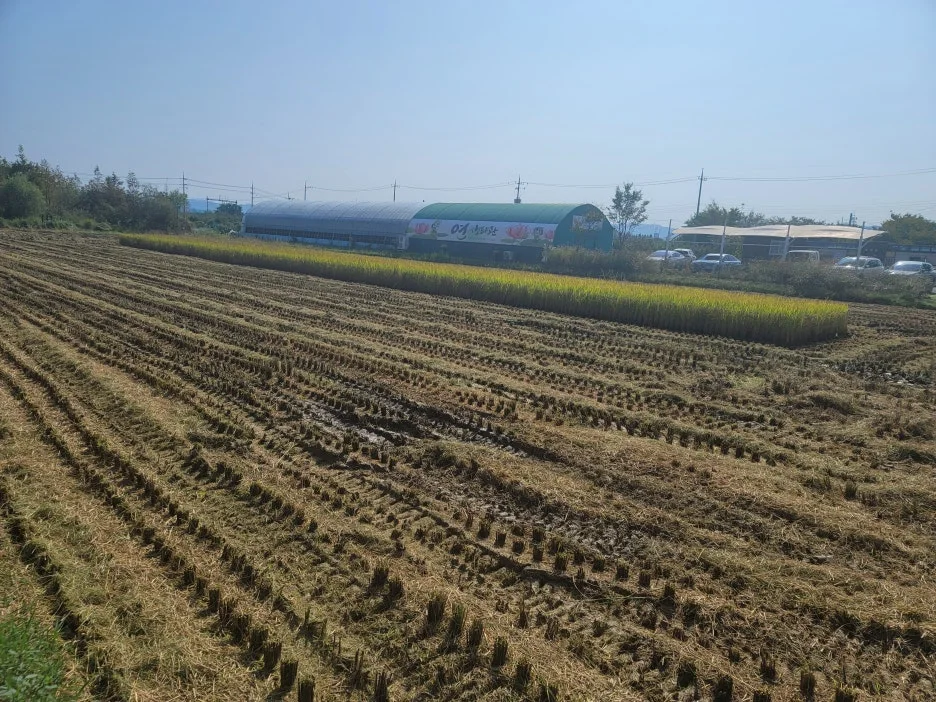 KakaoTalk_20251011_212747351_06.jpg?type=w1