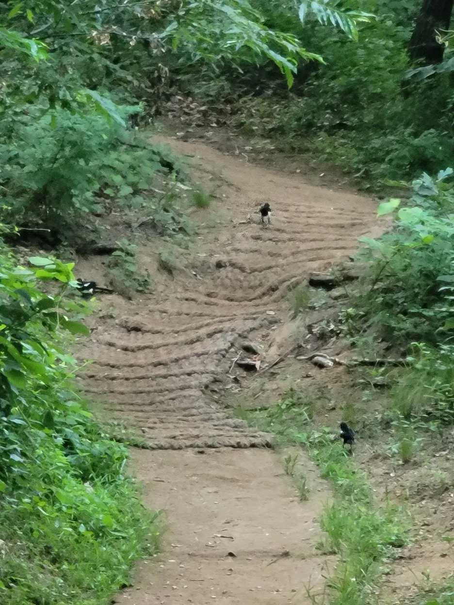 KakaoTalk_20250709_104719481_04.jpg?type=w1