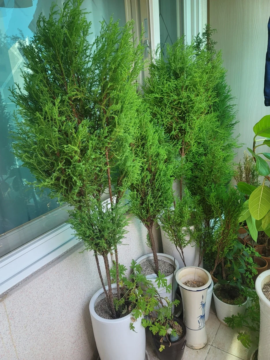 KakaoTalk_20250923_170031859.jpg?type=w1