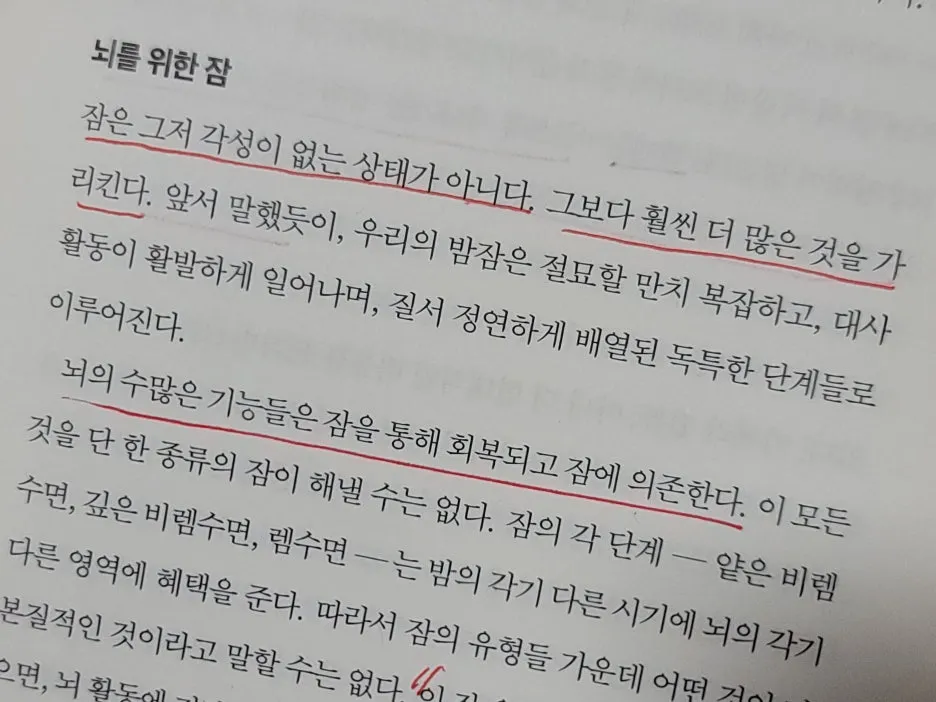 KakaoTalk_20251014_100154631.jpg?type=w1