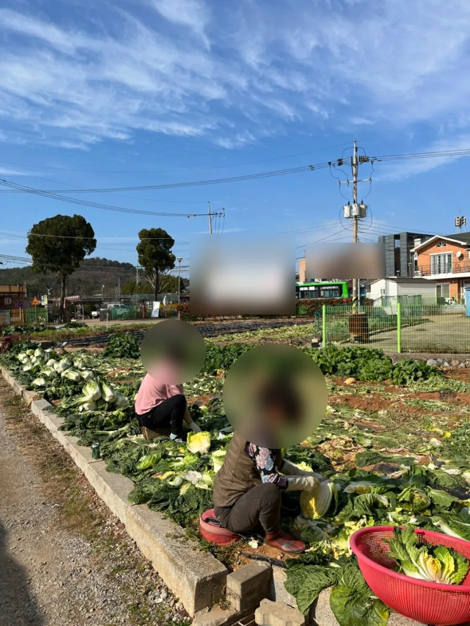 SE-047f9cfd-1c49-400d-b545-a4662de699dd.jpg?type=w1