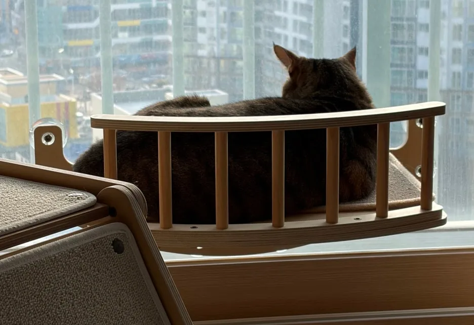 SE-176df3ac-b6a2-4fd2-8292-67c63d516ce8.jpg?type=w1