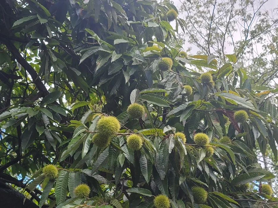 KakaoTalk_20250920_202722467_12.jpg?type=w1