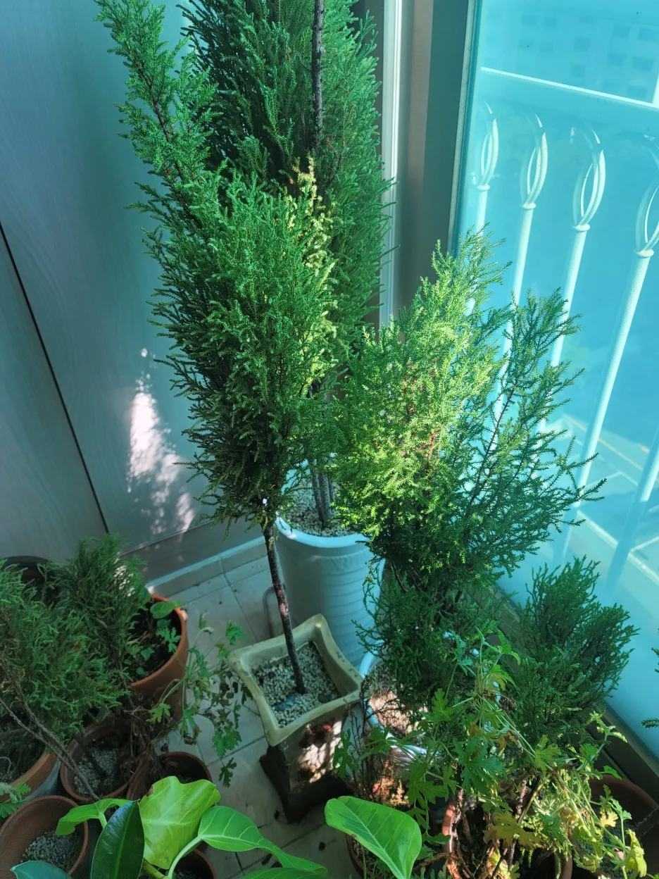 KakaoTalk_20250923_190556227.jpg?type=w1