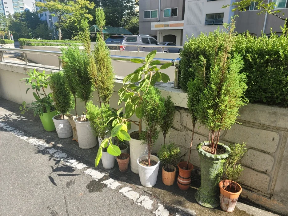 KakaoTalk_20250923_161346180.jpg?type=w1