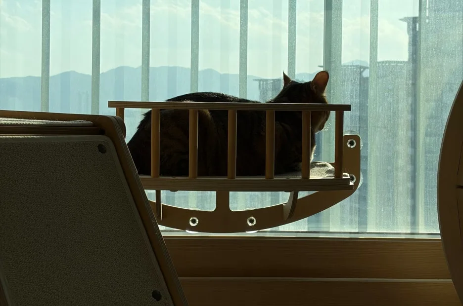 SE-c7becc30-0f10-45d7-911b-57c33ba39316.jpg?type=w1