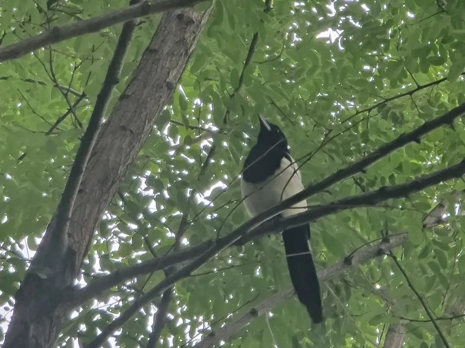 KakaoTalk_20250704_203314015.jpg?type=w1