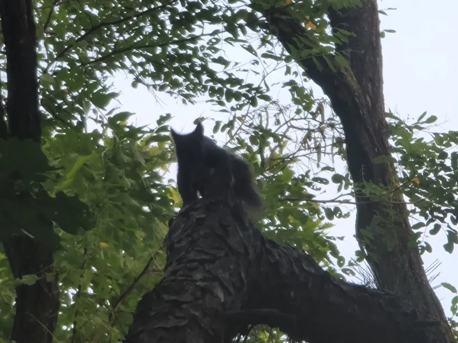 KakaoTalk_20250709_104719481_03.jpg?type=w1