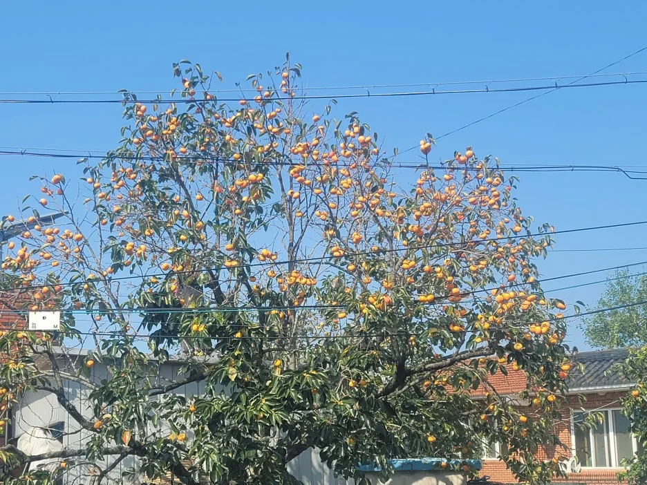 KakaoTalk_20251011_212747351.jpg?type=w1