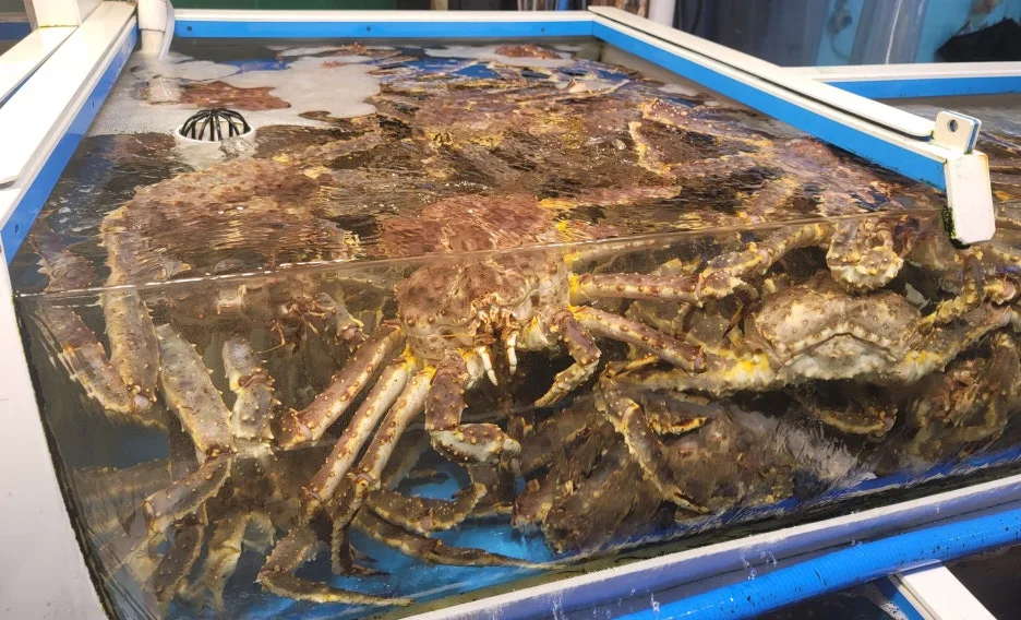 SE-e65bf155-10fb-4ab8-b923-ffaa7e2d5177.jpg?type=w1