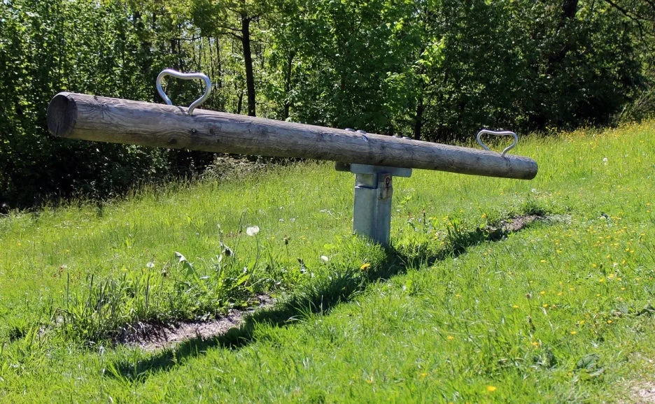 seesaw-339506_1280.jpg?type=w1
