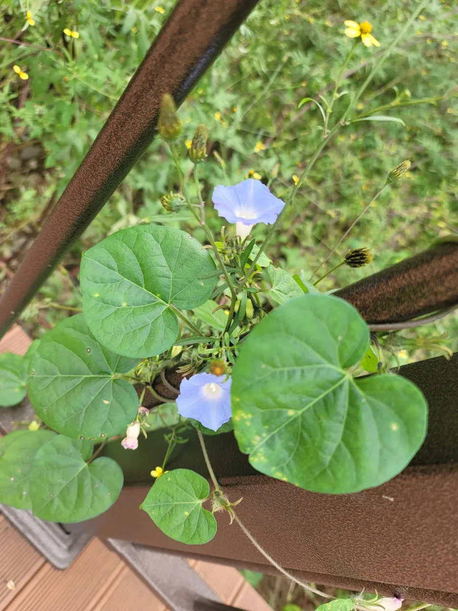 KakaoTalk_20251021_144342955_03.jpg?type=w1